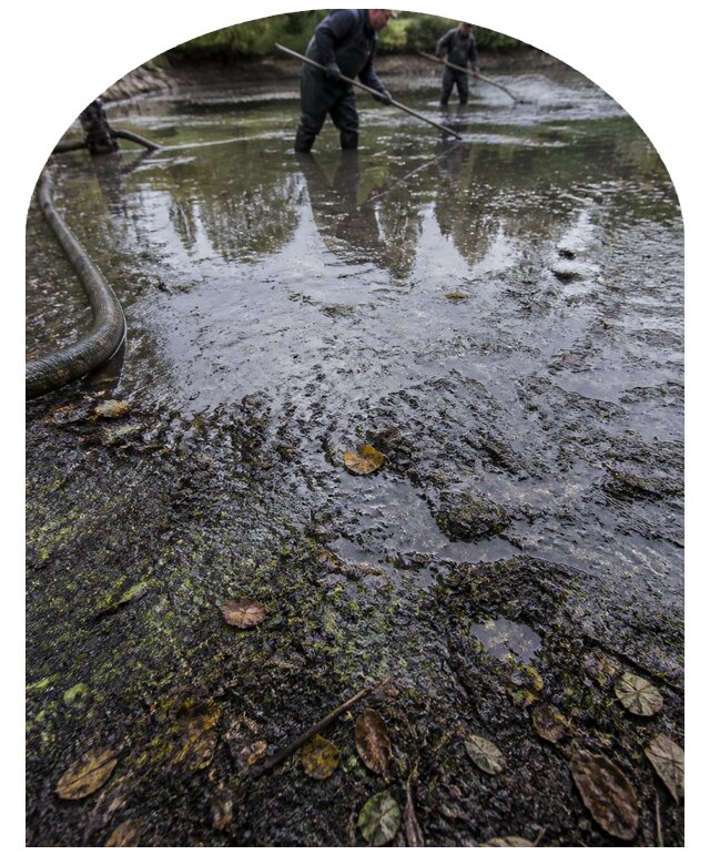 Очистка пруда в Ульяновске от ила мусора и водорослей с вывозом